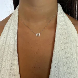 שרשרת חי עדינה מכסף 925