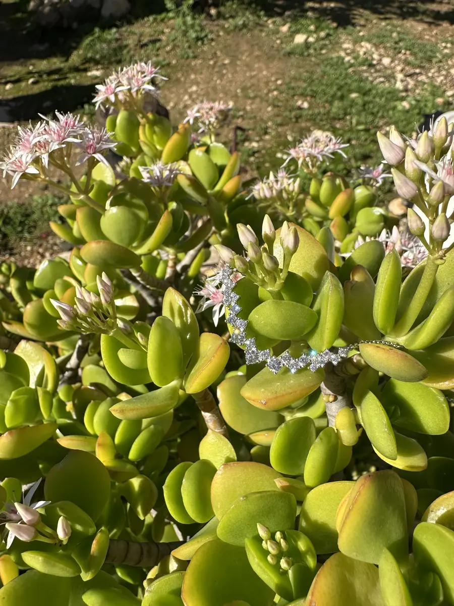 שרשרת מעוגלת עם שיבוץ בגדלים שונים מונחת שיח בצבע ירוק שרשרת מעוגלת עם שיבוץ בגדלים שונים מונחת שיח בצבע ירוק בזום